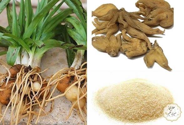 قیمت ثعلب خشک شده | خرید عمده و جزئی 100% تضمین کیفیت درجه 1 و اعلاء