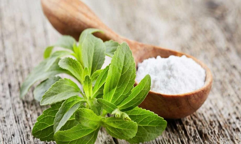 مضرات گیاه استویا | خرید عمده و جزئی 100% تضمین کیفیت درجه 1 و اعلاء